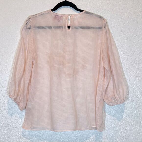 Urban Outfitters Piplette by Alice Ritter Embroidered Sheer Pink Top size Large - Picture 2 of 8